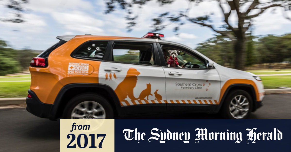 How pet ambulance service Howltzolah came to care for animals' owners